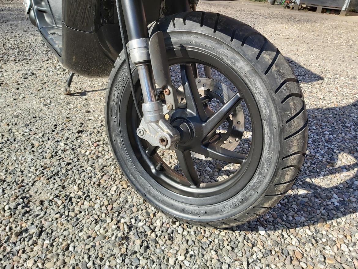 Piaggio Typhoon billede 6