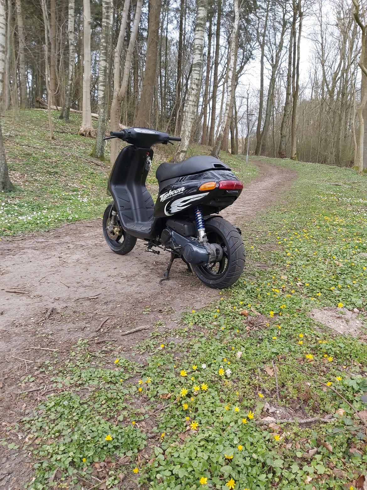 Piaggio Typhoon billede 10