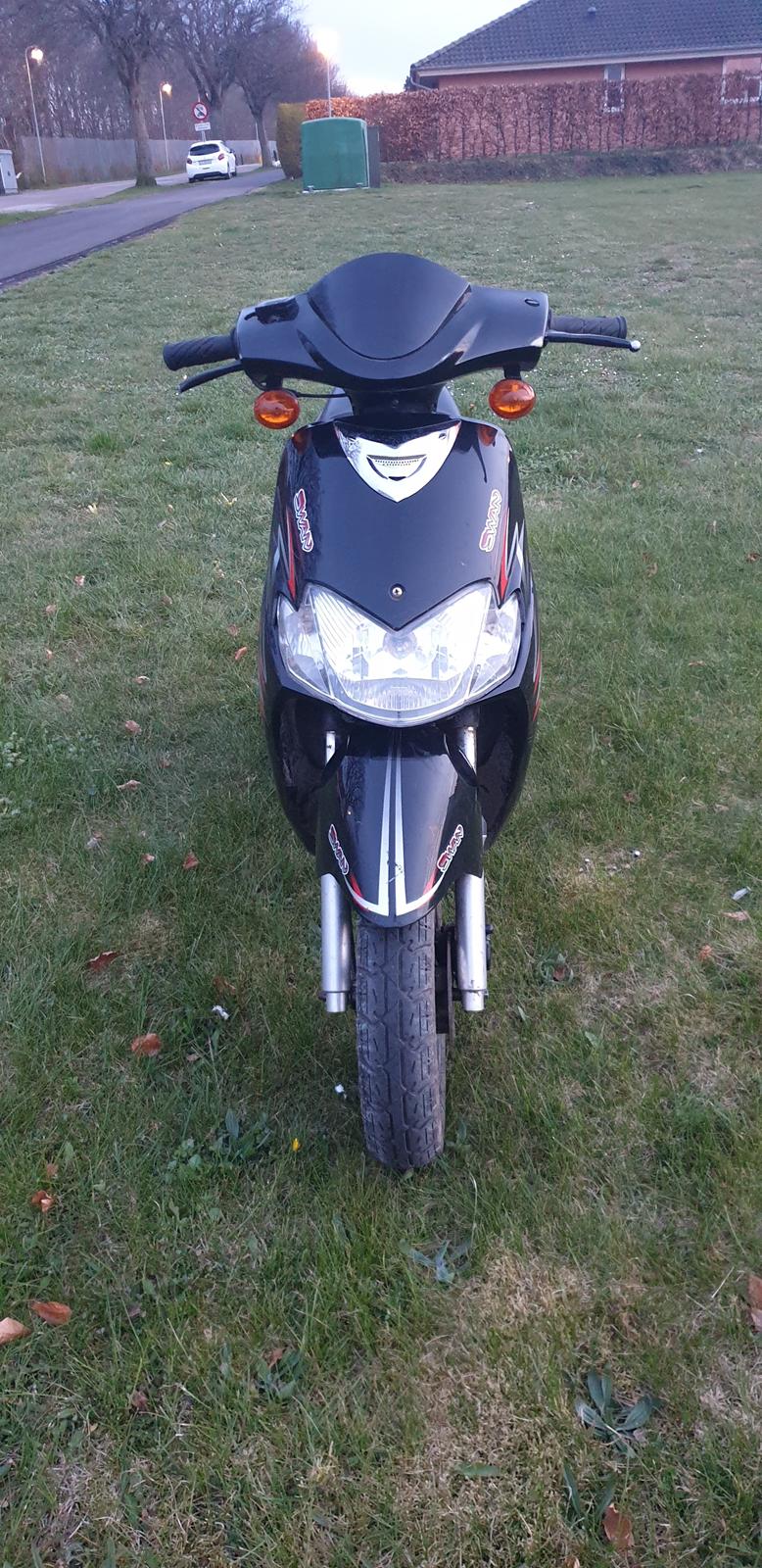 Leone Swan billede 3