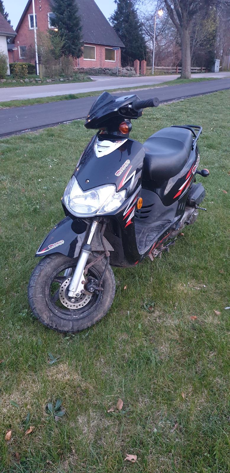 Leone Swan billede 4