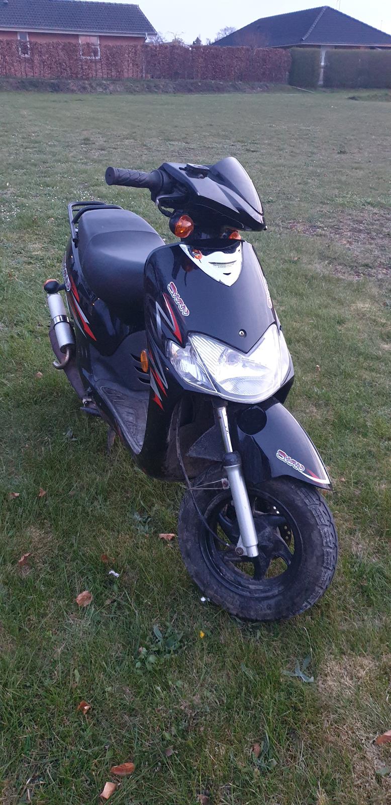 Leone Swan billede 5