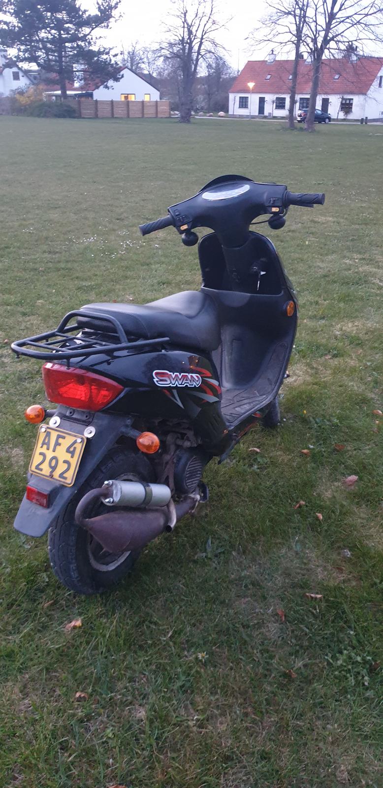 Leone Swan billede 6