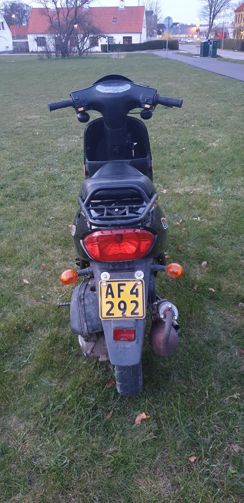 Leone Swan billede 7