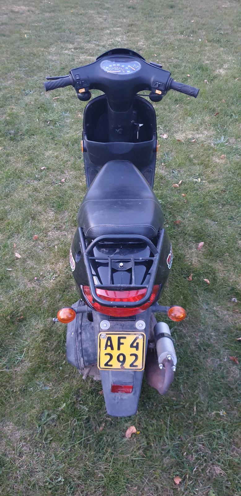 Leone Swan billede 9