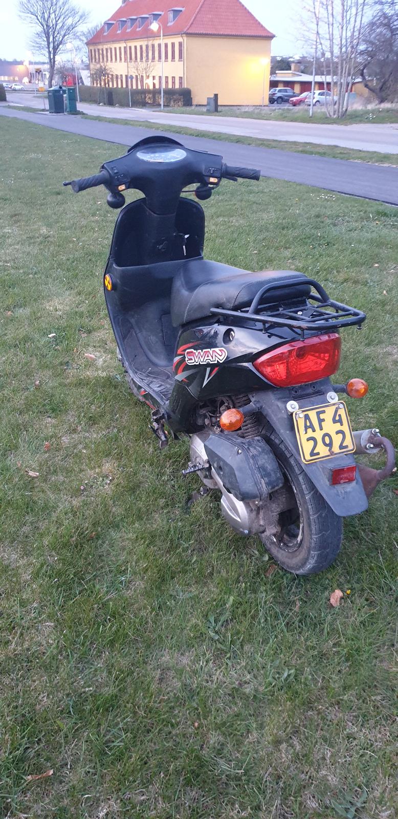 Leone Swan billede 8