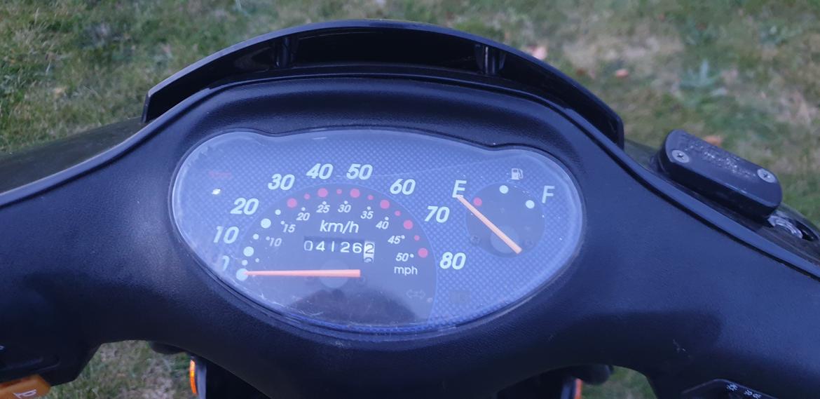 Leone Swan billede 10