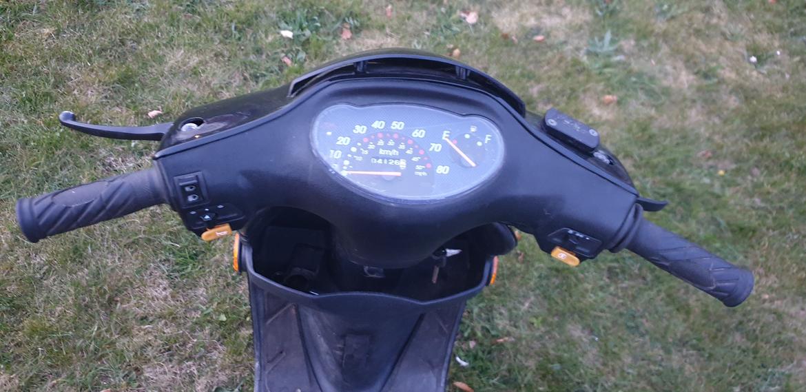 Leone Swan billede 11