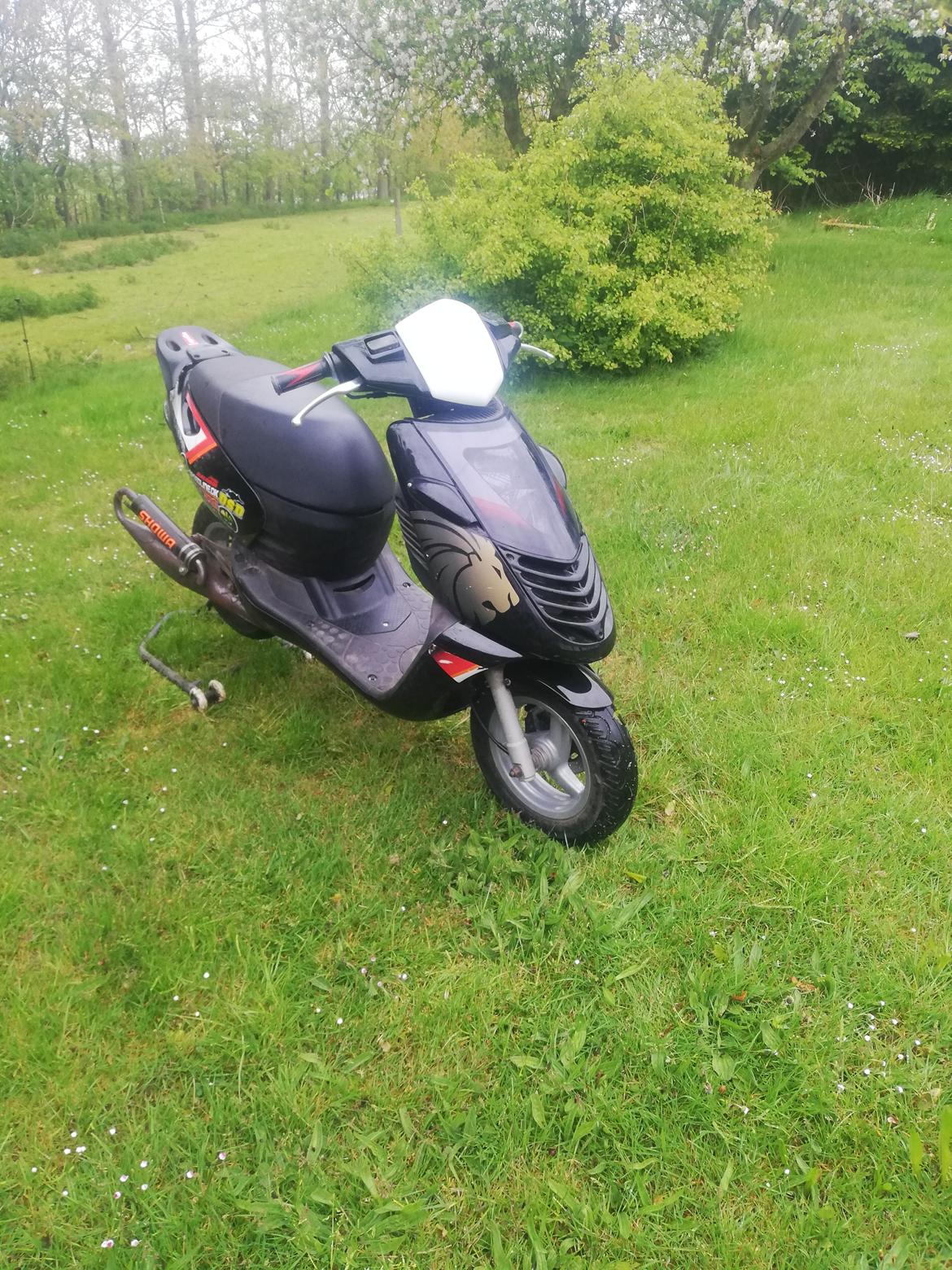 Aprilia sonic  billede 1