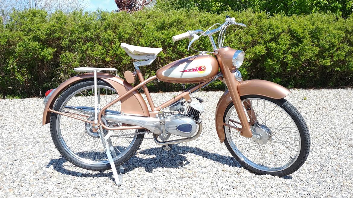 Veteraner BFC Lynette 91 billede 1