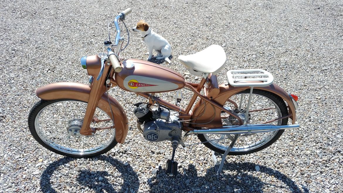 Veteraner BFC Lynette 91 billede 6