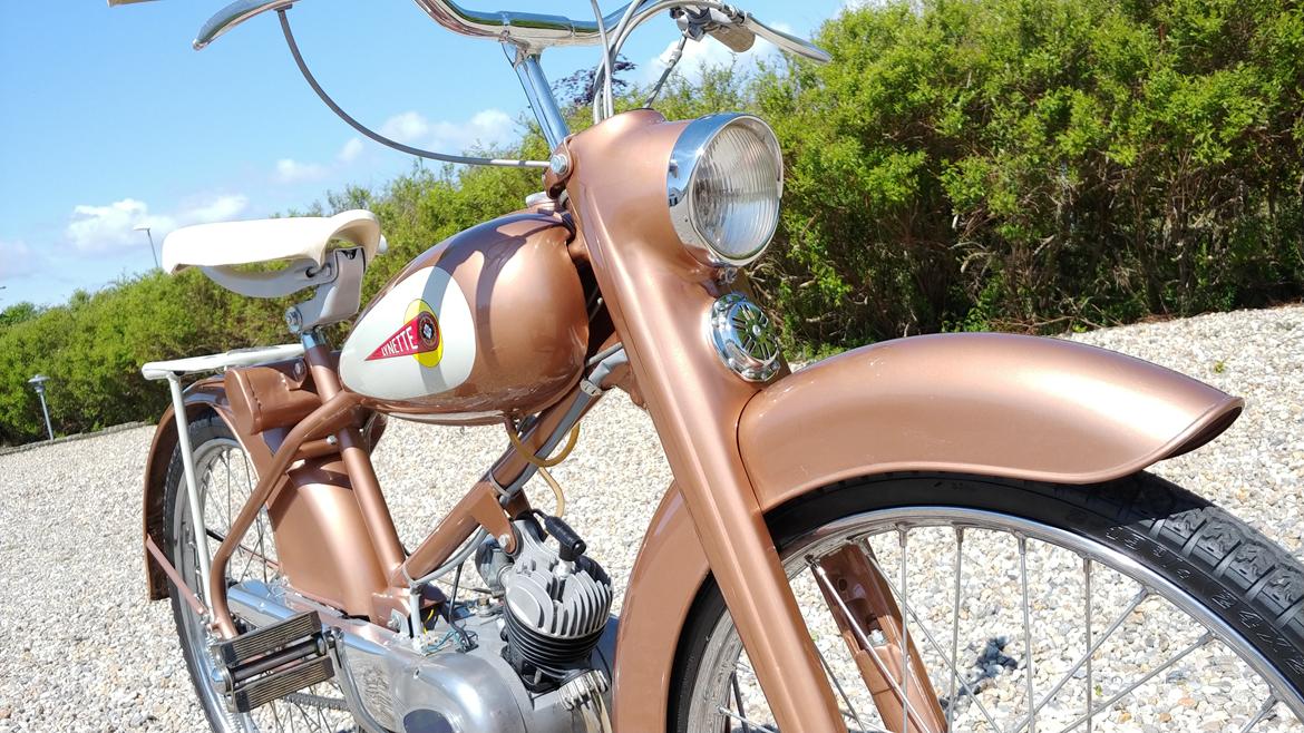 Veteraner BFC Lynette 91 billede 11