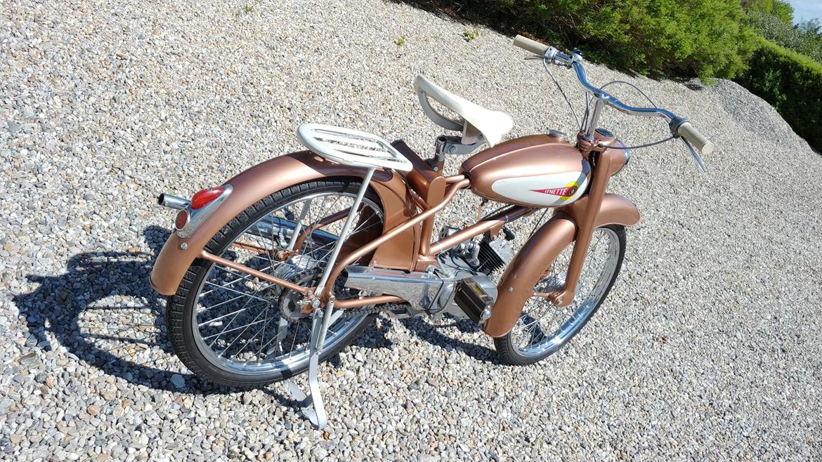 Veteraner BFC Lynette 91 billede 9