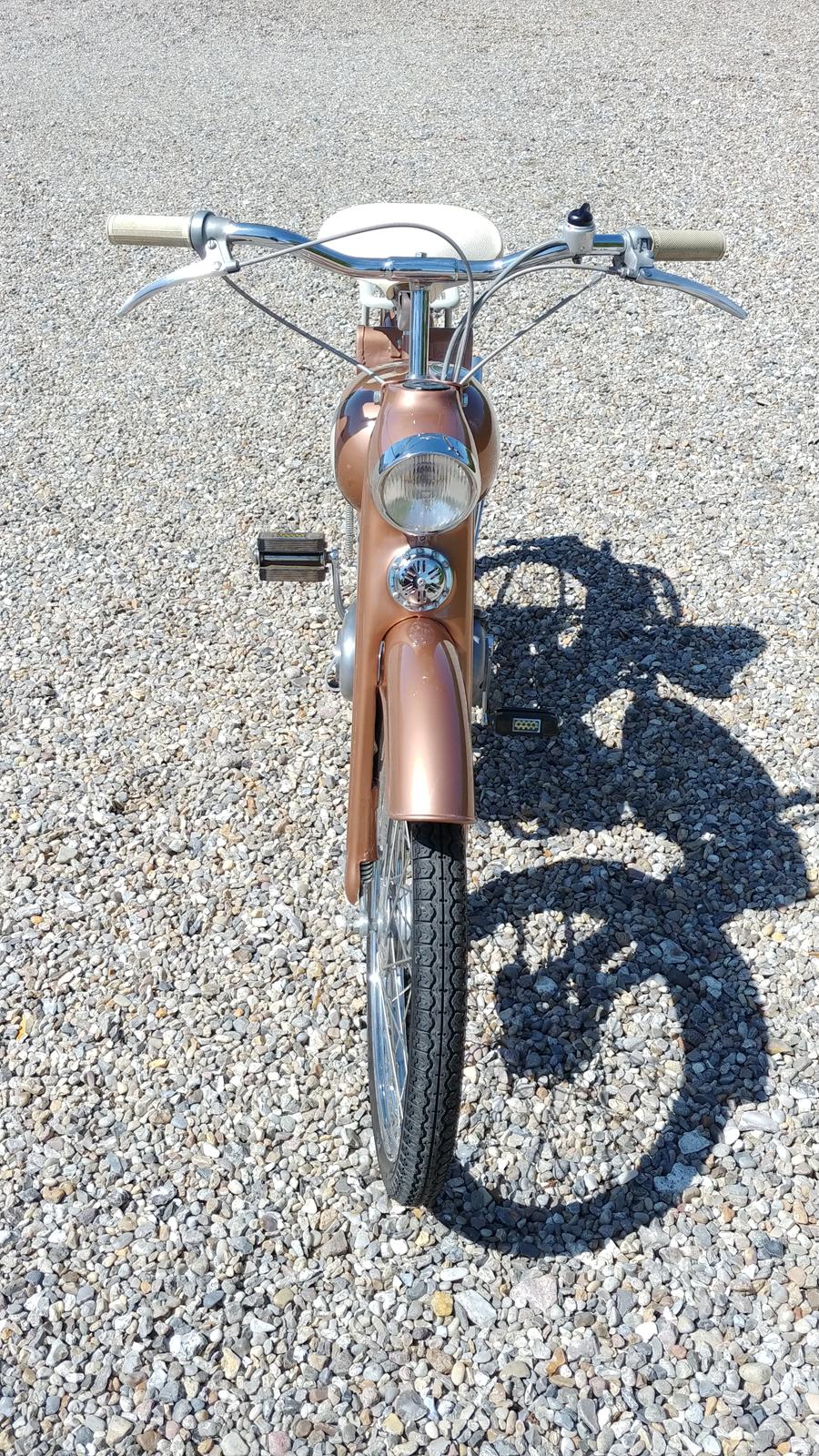 Veteraner BFC Lynette 91 billede 4