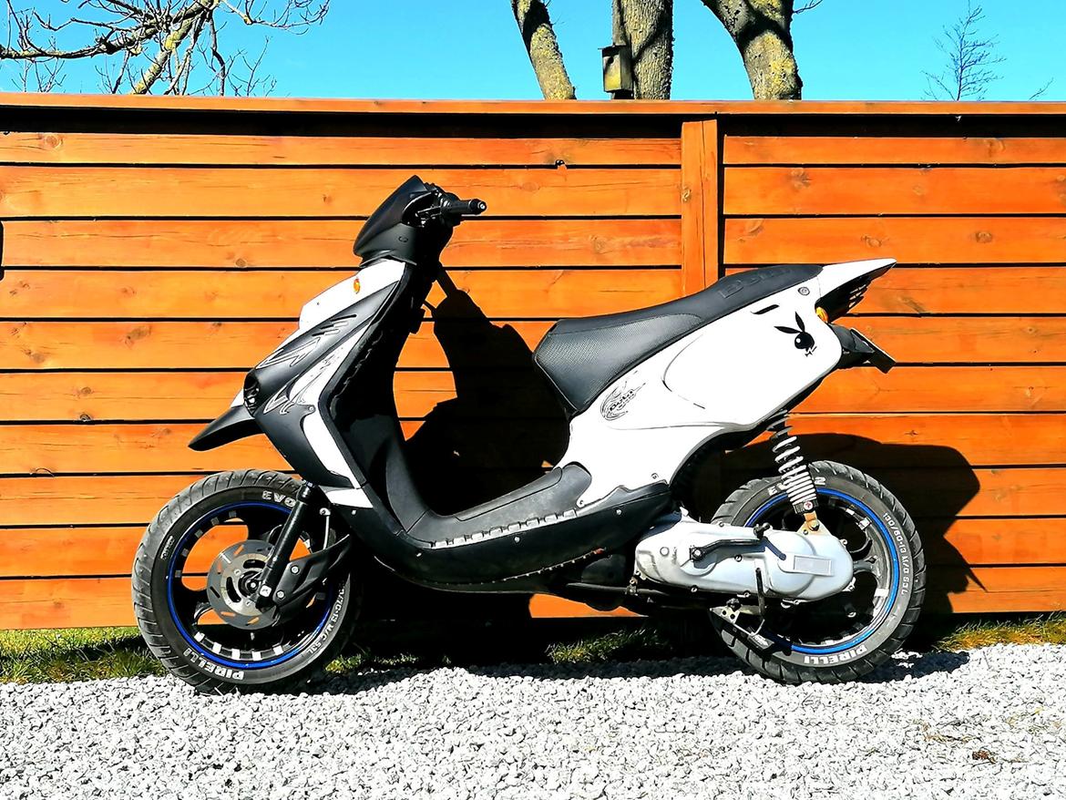 Beta ARK AC "Alberte" billede 1