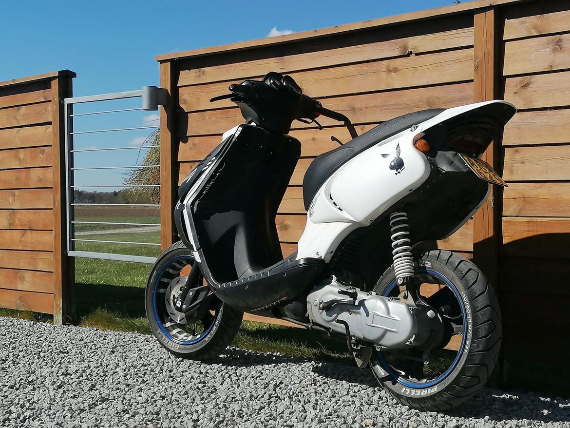 Beta ARK AC "Alberte" billede 3