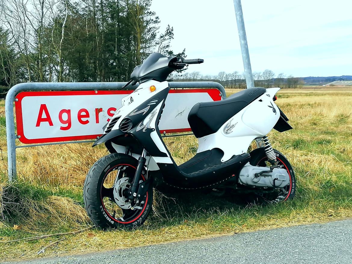 Beta ARK AC "Alberte" billede 6