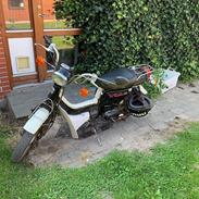 Suzuki FZ50