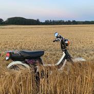 Suzuki FZ50