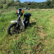 Suzuki FZ50