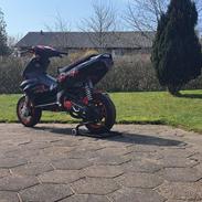 Gilera Runner 70cc roost