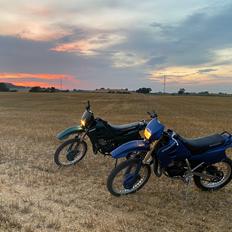 Suzuki RMX50 *SOLGT*