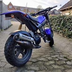 Suzuki Street magic SOLGT