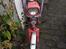 Honda Express 