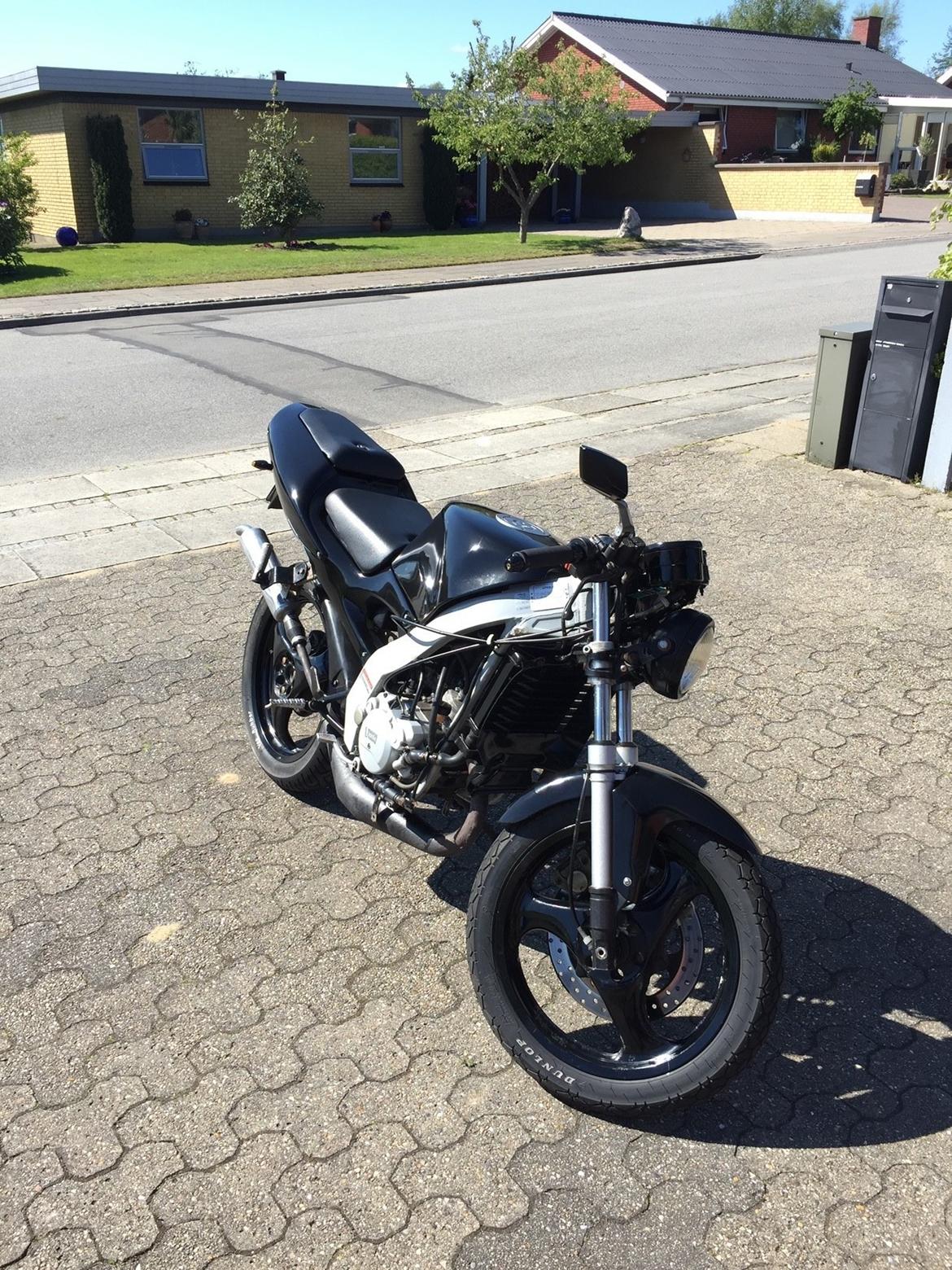 Aprilia RS 50 billede 2