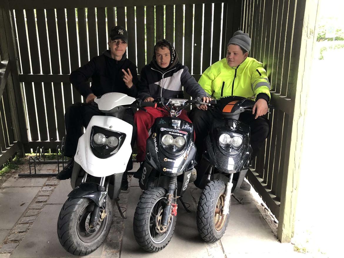 PGO Hot 50 billede 5