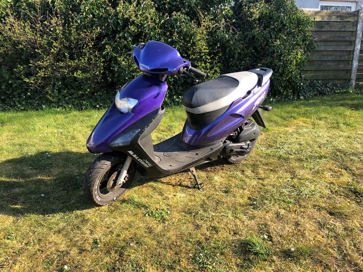 Honda Sfx 30er billede 4