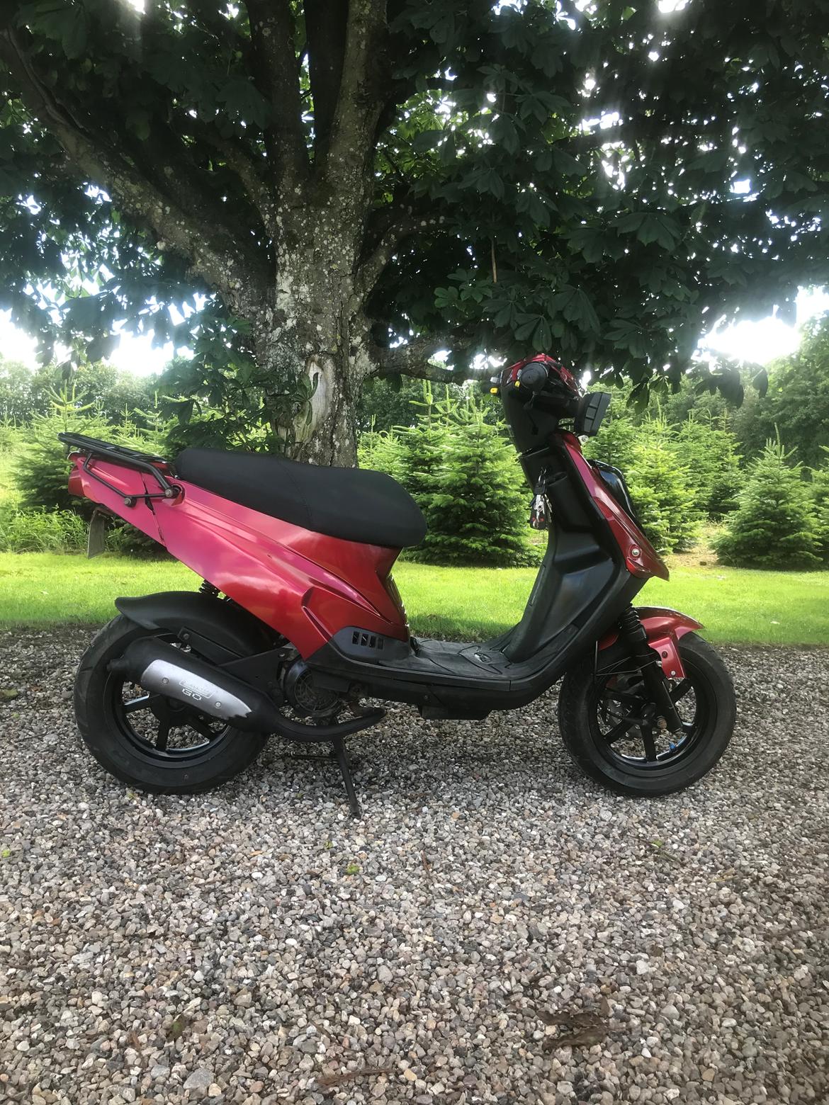 PGO Hot 50 - SP billede 5