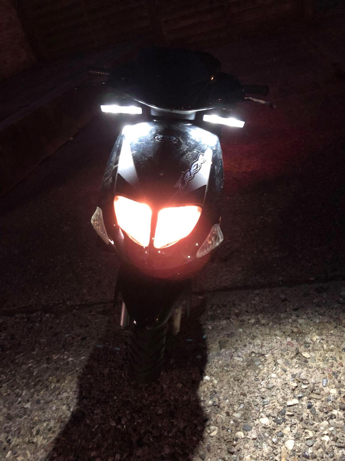 PGO T-REX billede 13