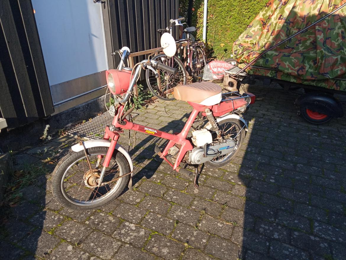 Honda Express  billede 2