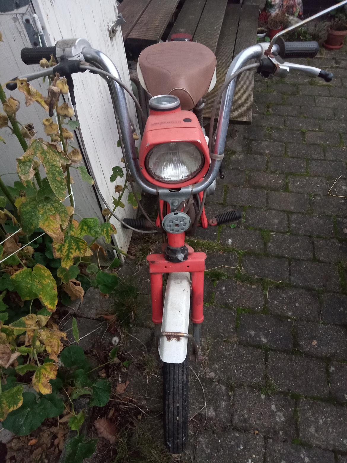 Honda Express  billede 6