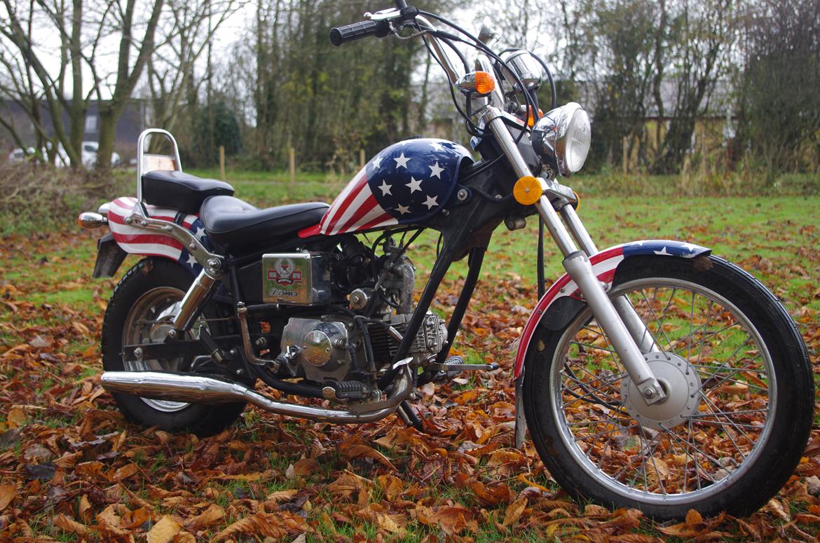 Regal Raptor DD50QE-3 billede 1