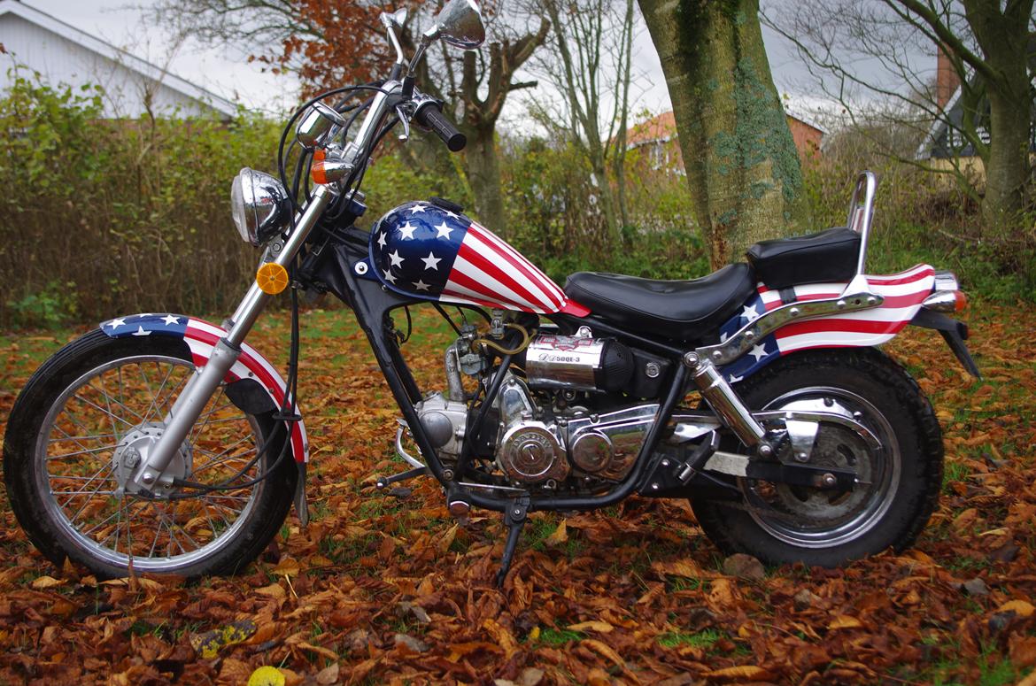 Regal Raptor DD50QE-3 billede 2