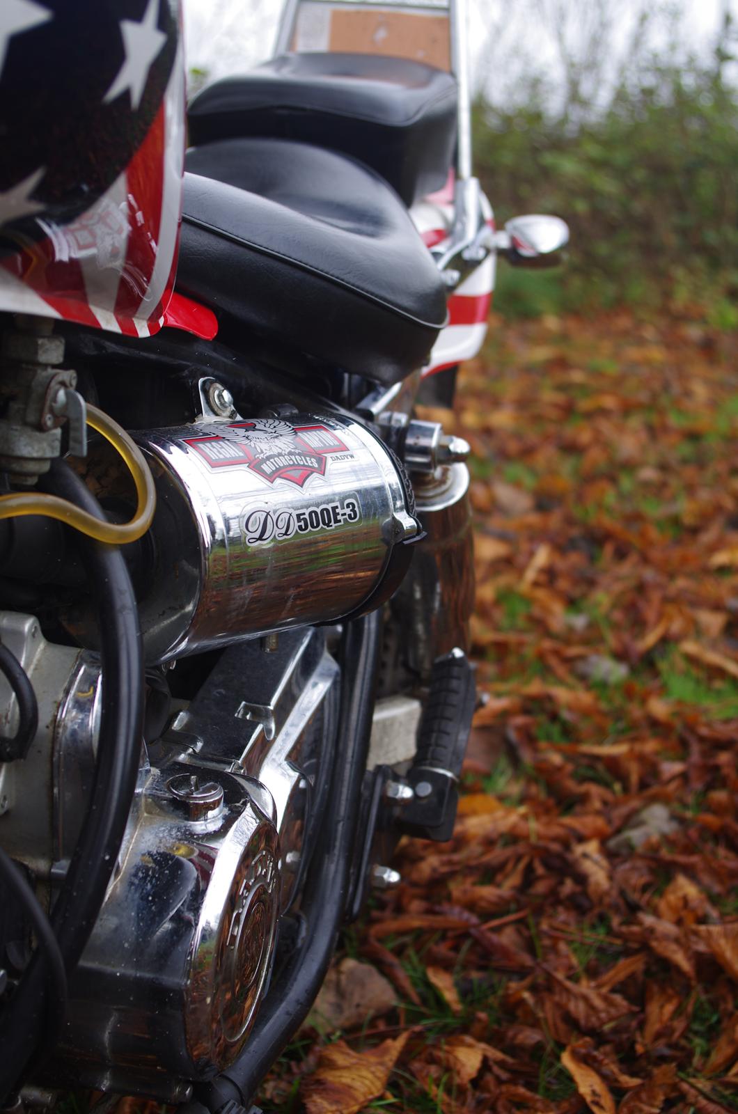 Regal Raptor DD50QE-3 billede 8