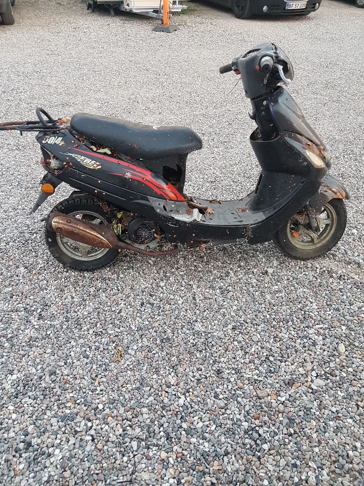 Texas Free billede 3