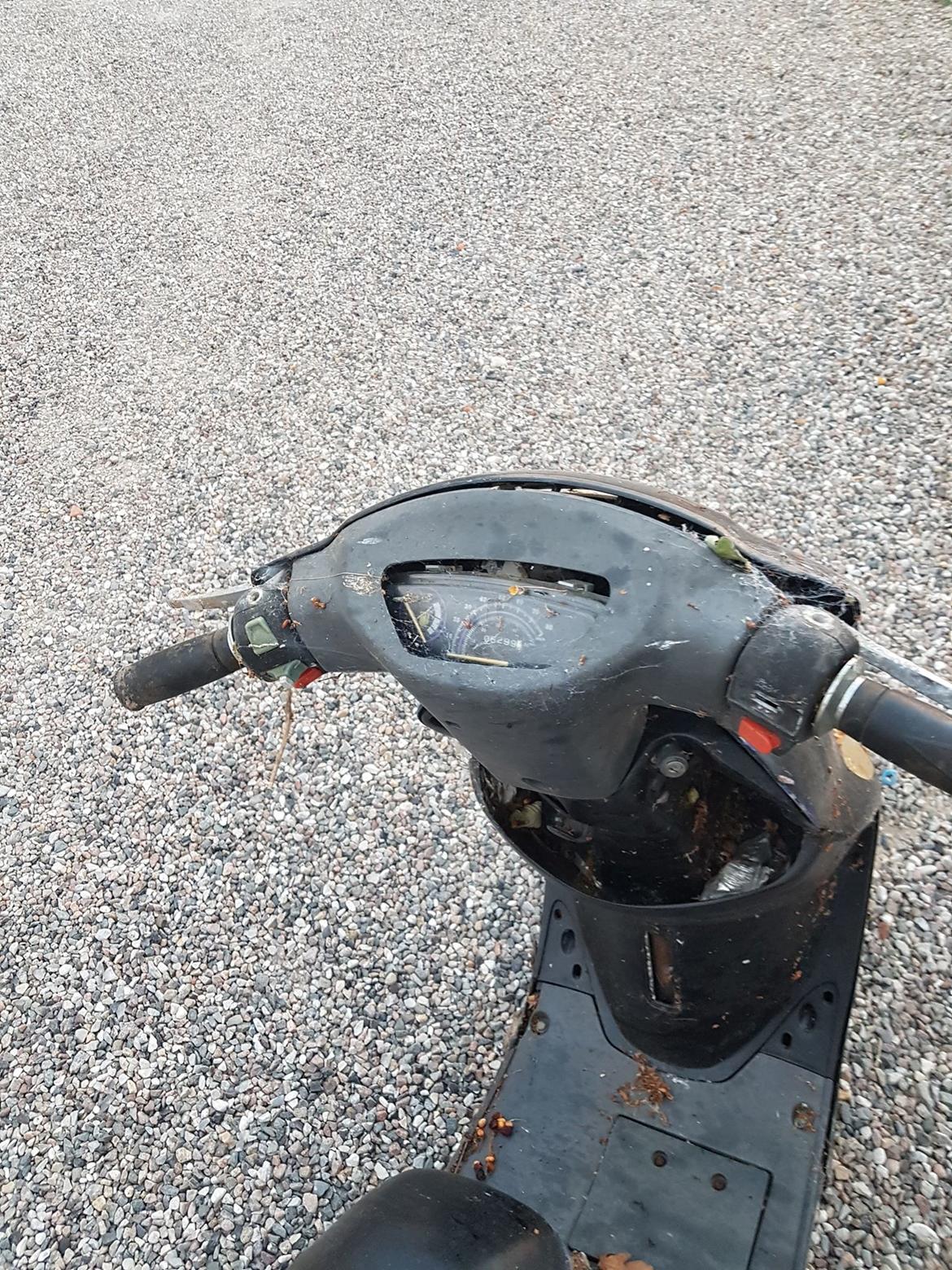 Texas Free billede 5