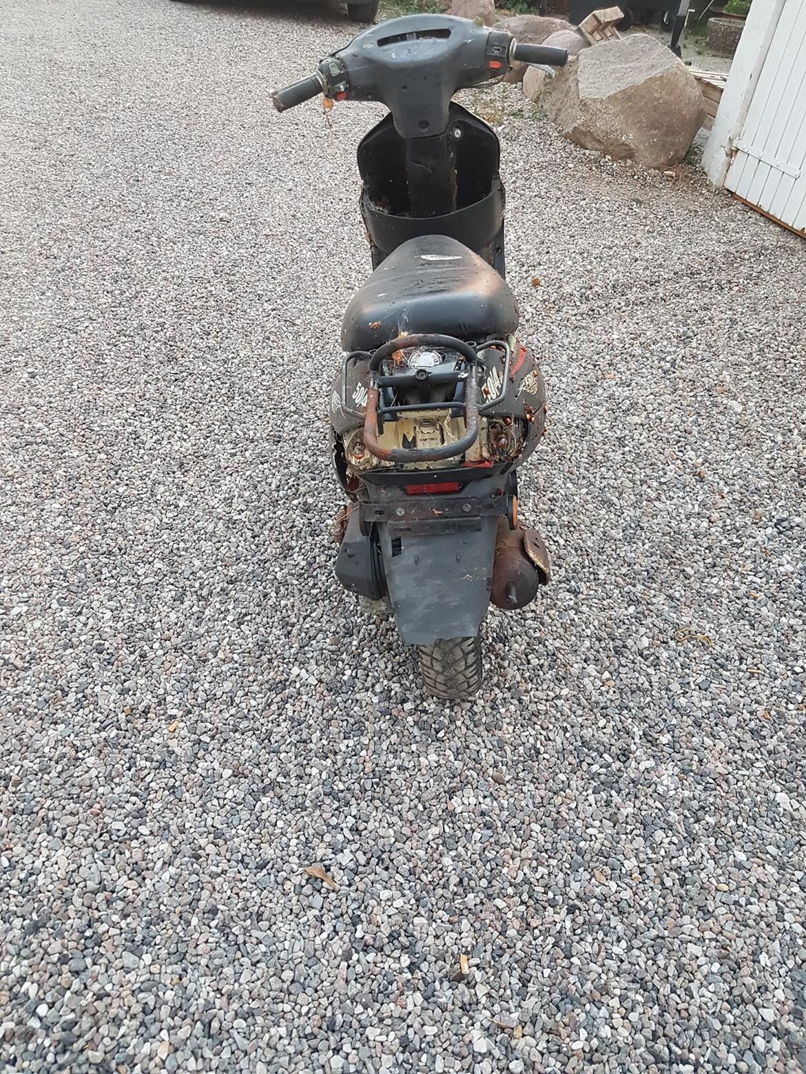 Texas Free billede 4