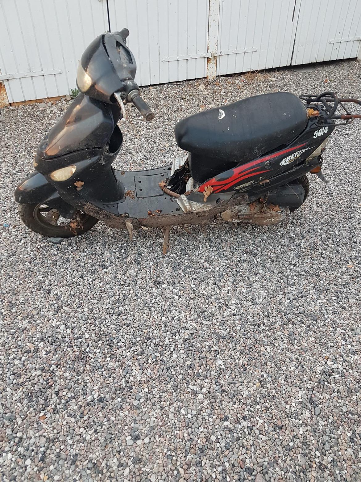 Texas Free billede 2