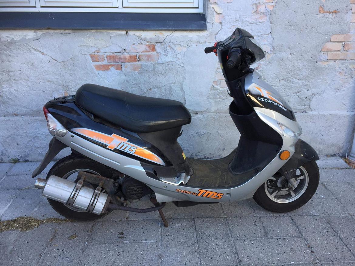 TMS Classic billede 3