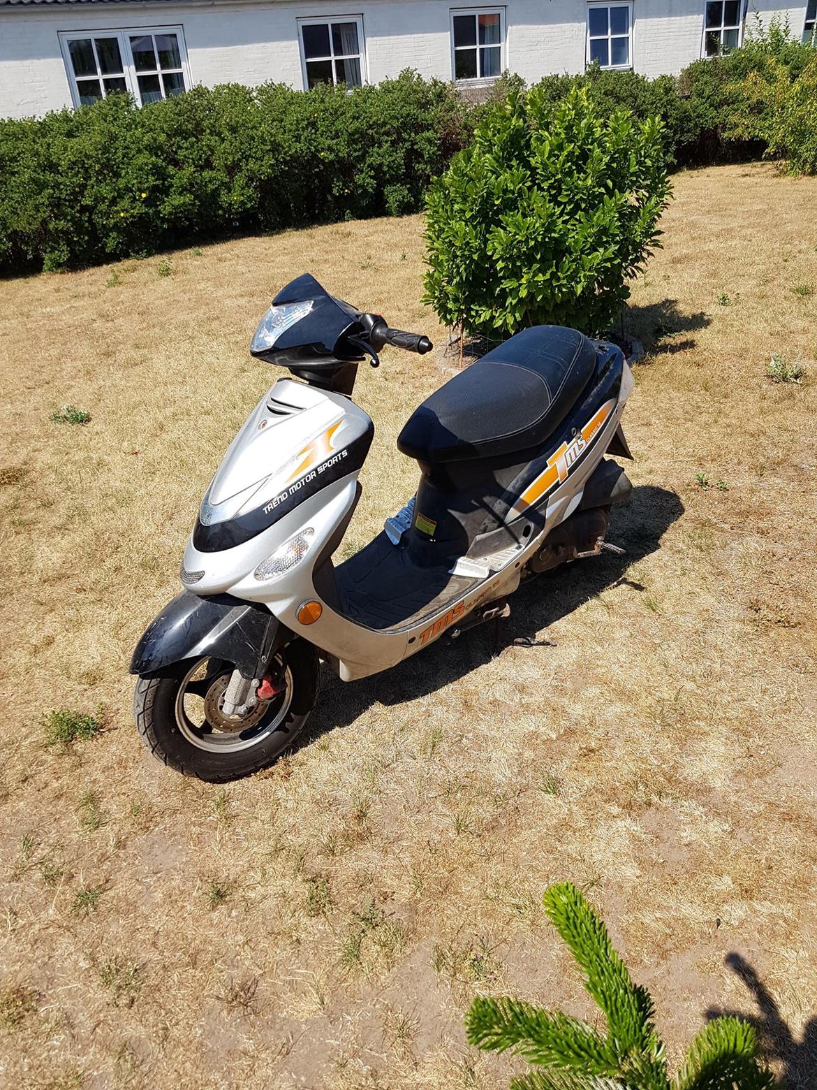 TMS Classic billede 2