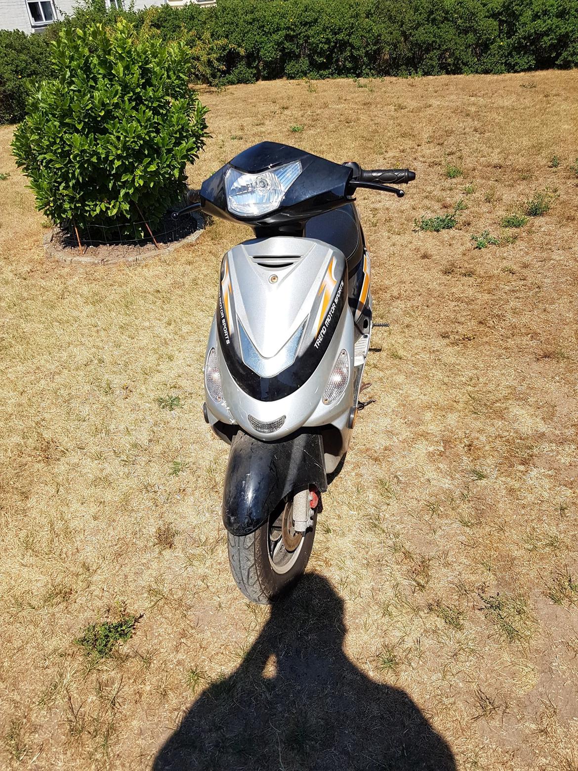 TMS Classic billede 1