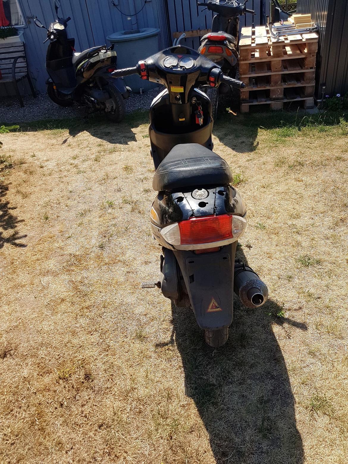 TMS Classic billede 4