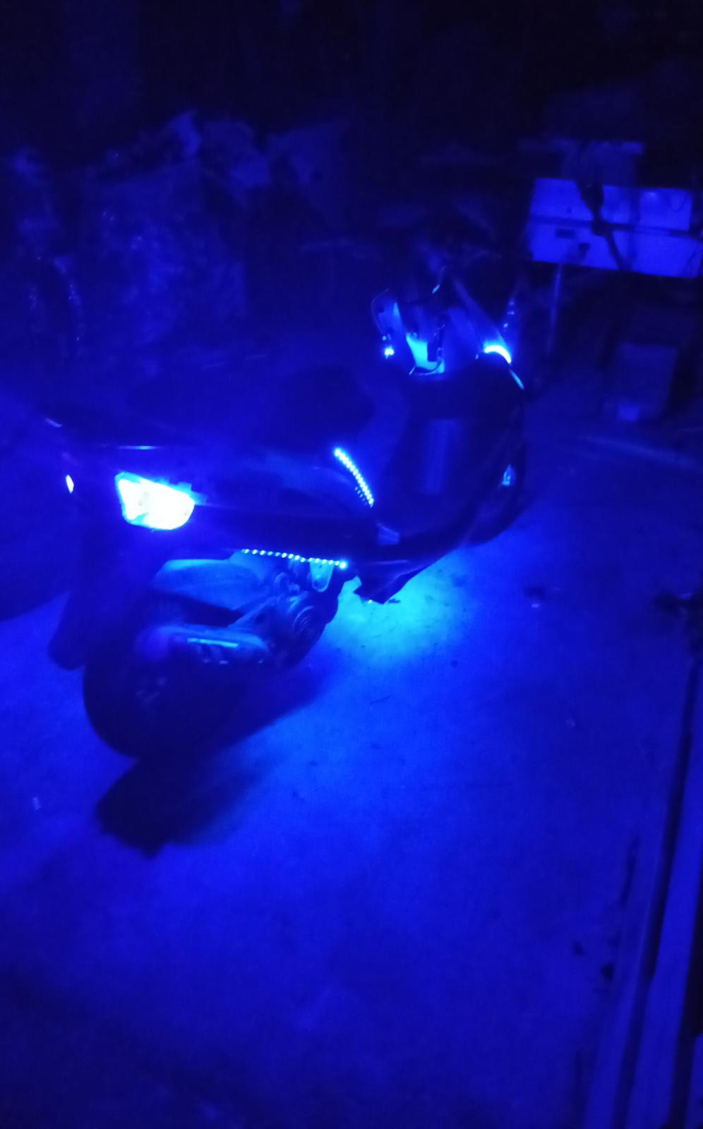 VGA Digita (vinter ged) billede 14