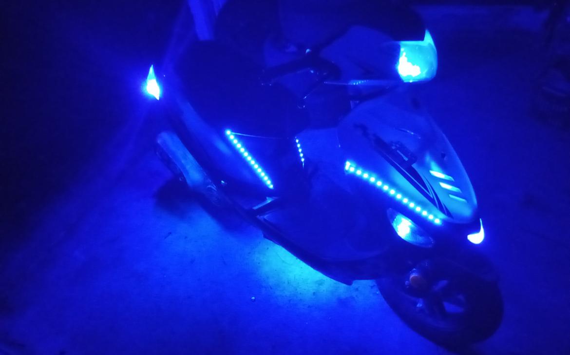 VGA Digita (vinter ged) billede 13