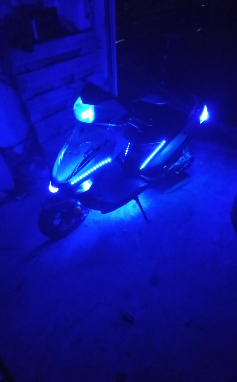 VGA Digita (vinter ged) billede 15