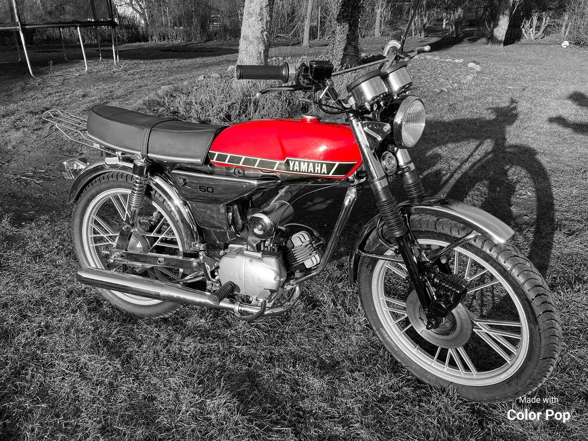 Yamaha FS1-DX billede 1