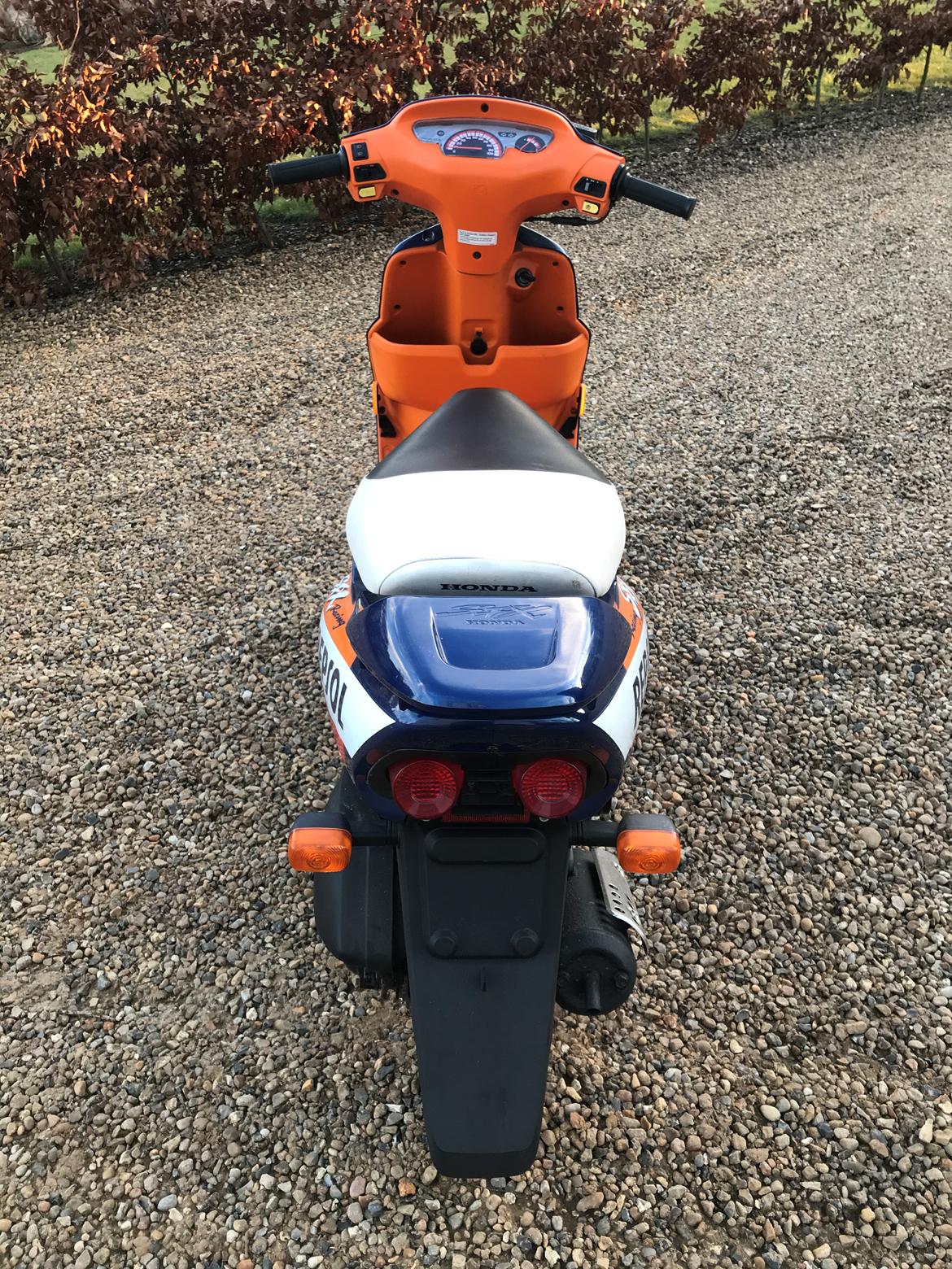 Honda SFX - Repsol billede 7